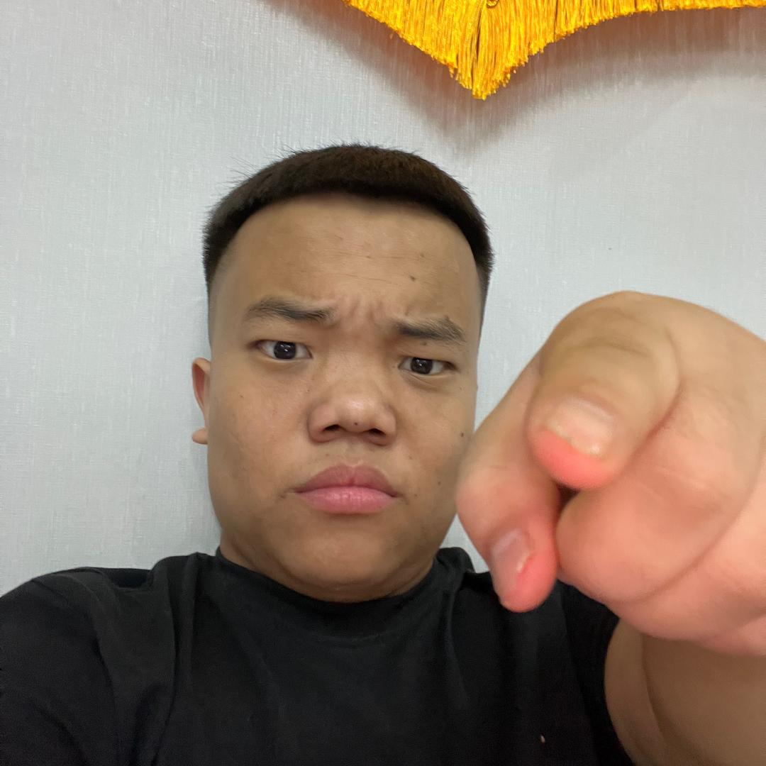 新乡猛犸象