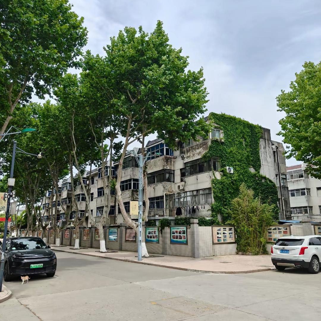 盐城农科院校园墙