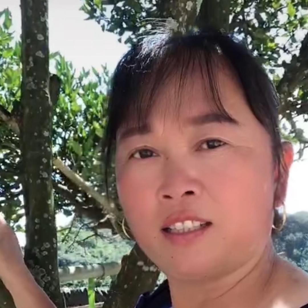 梦想成真…