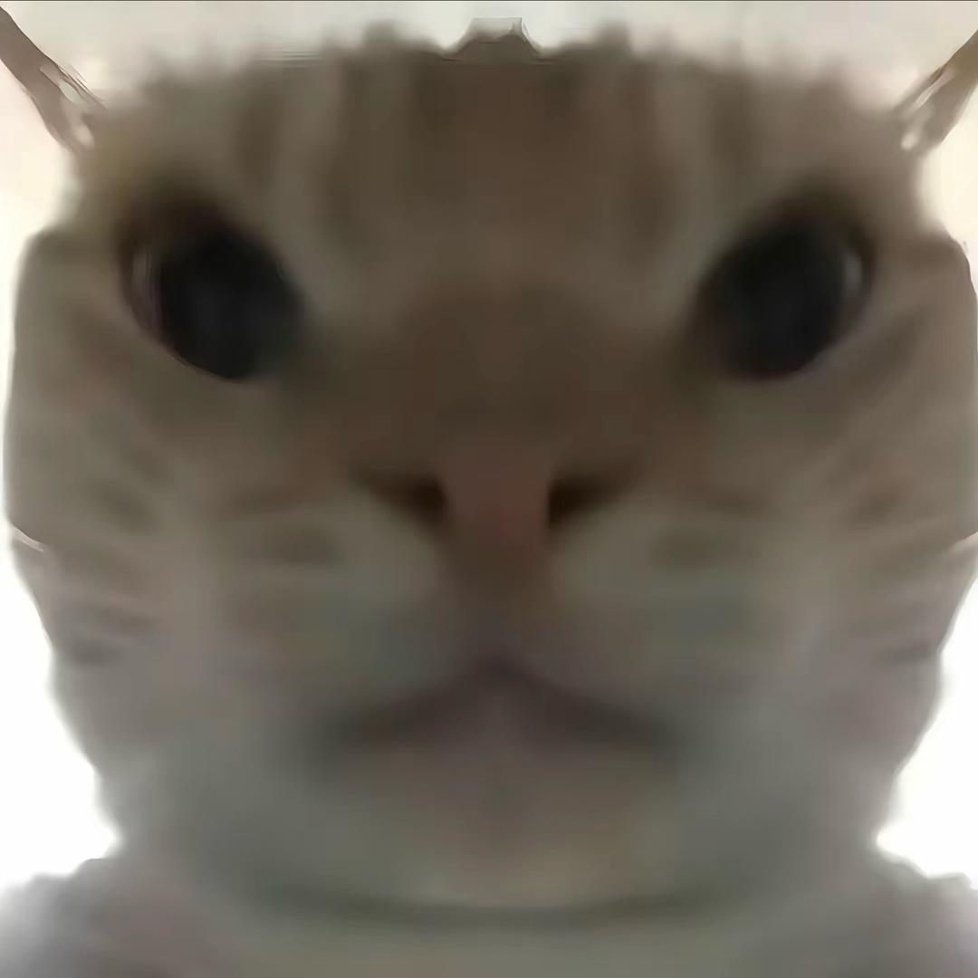 天外狂魔