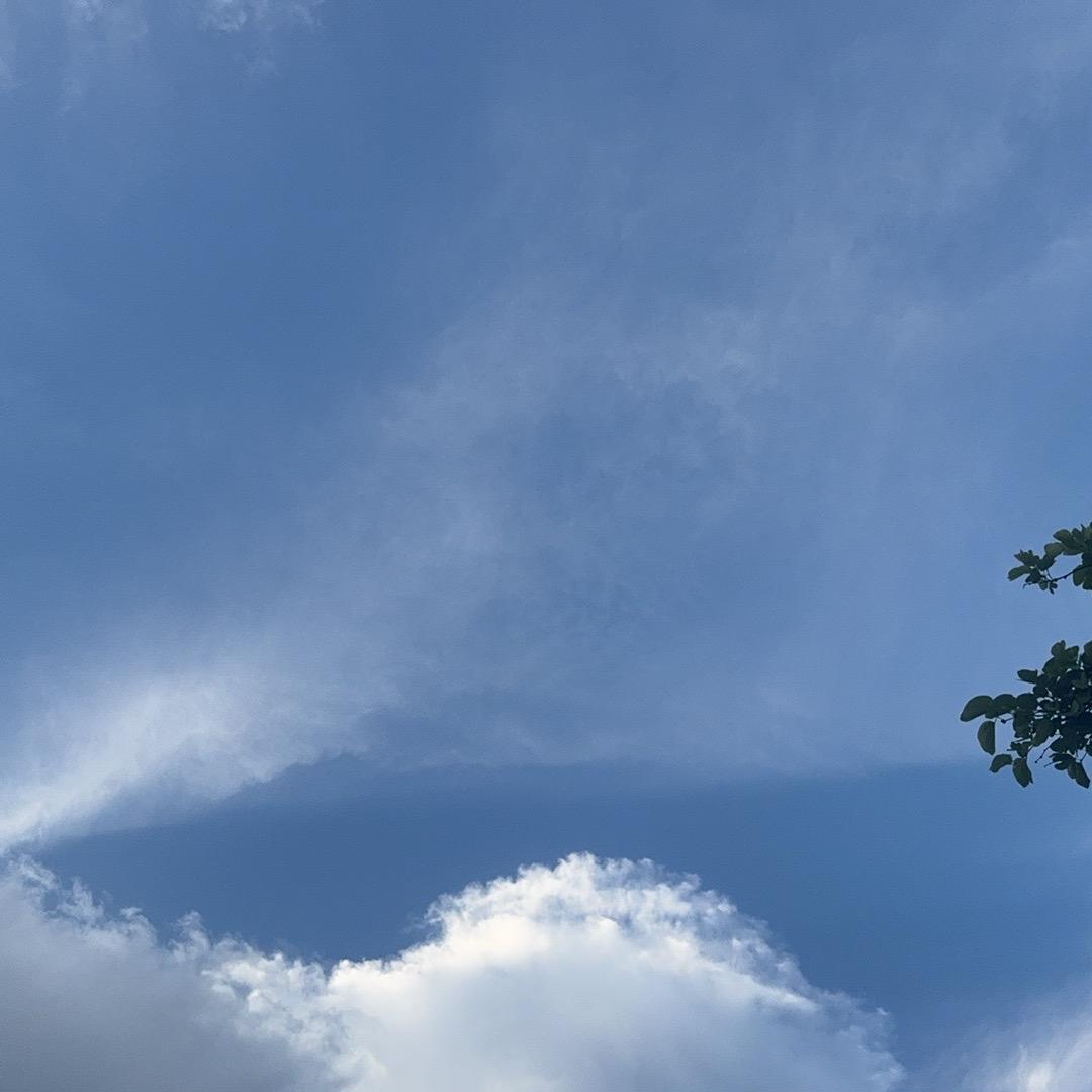 对七