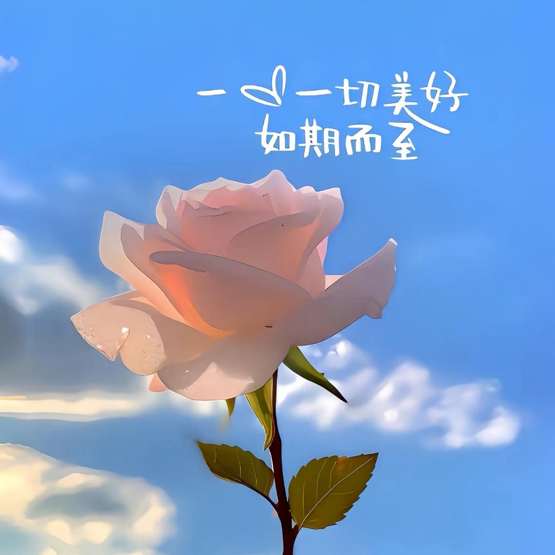 💋哈哈哈