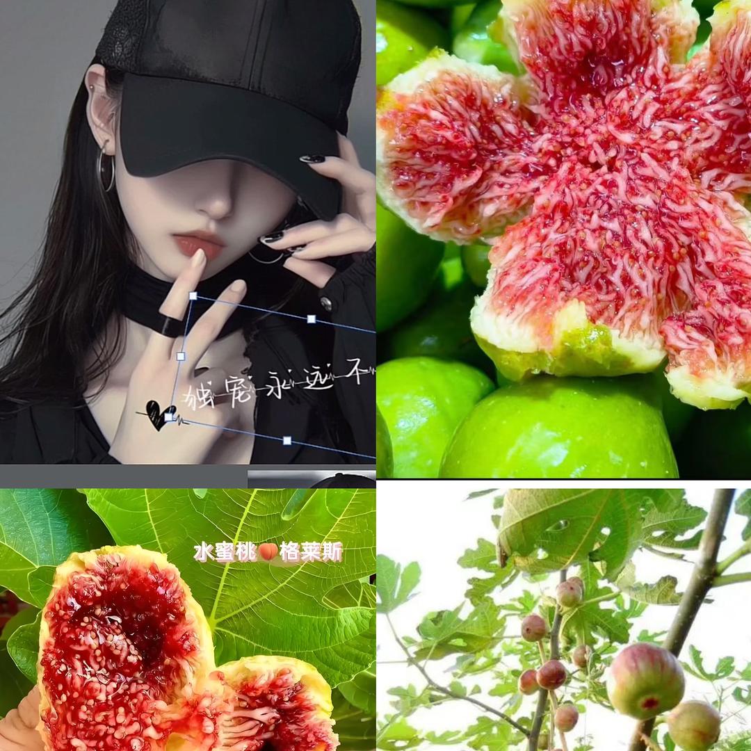 老太婆果树绿植经营店