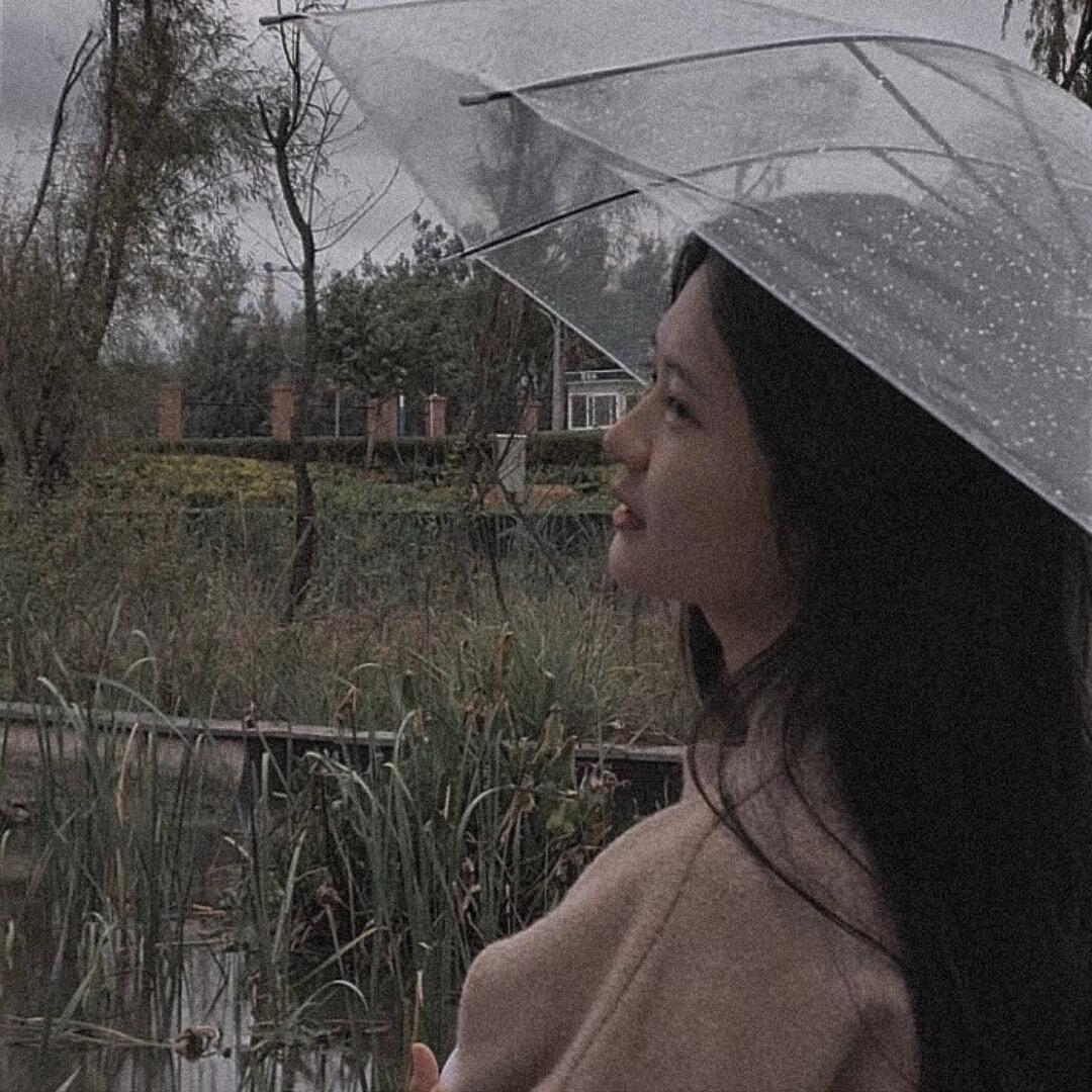 陈七七～