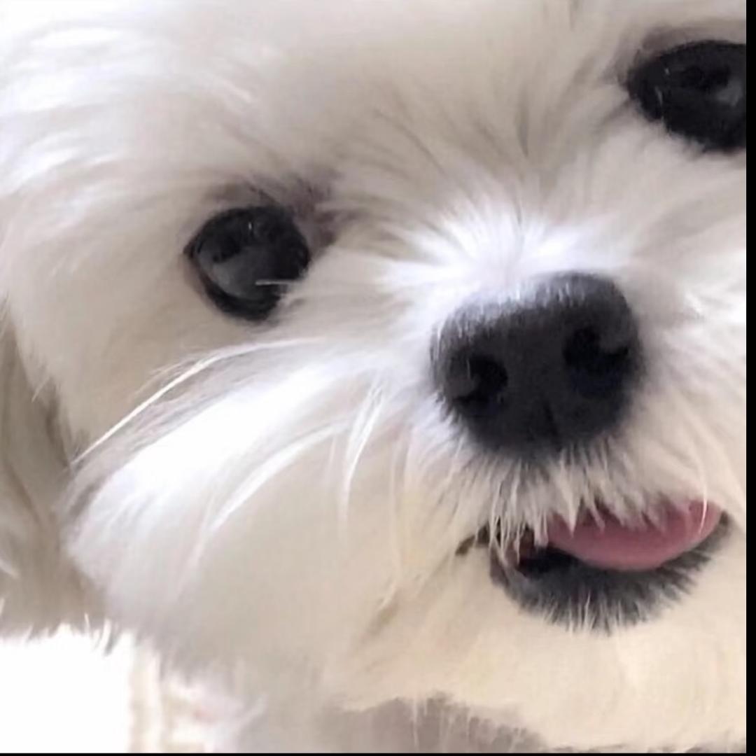 光