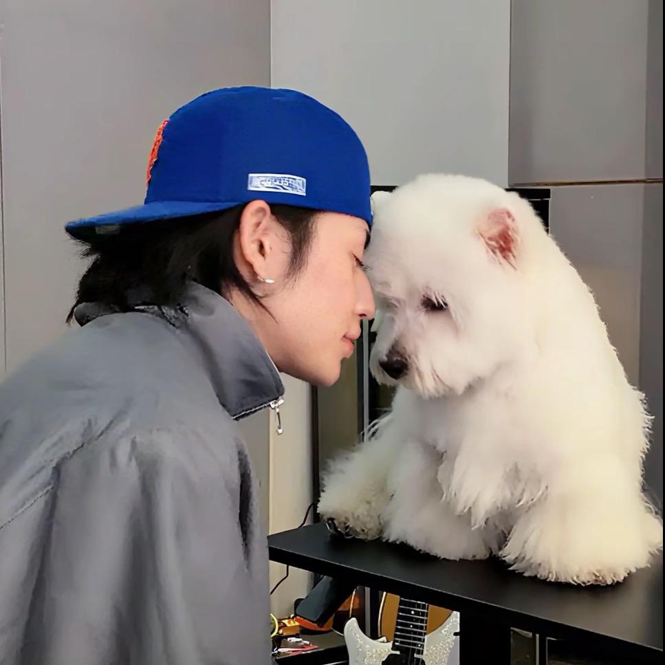 想琳琳卷（见过王琳凯版