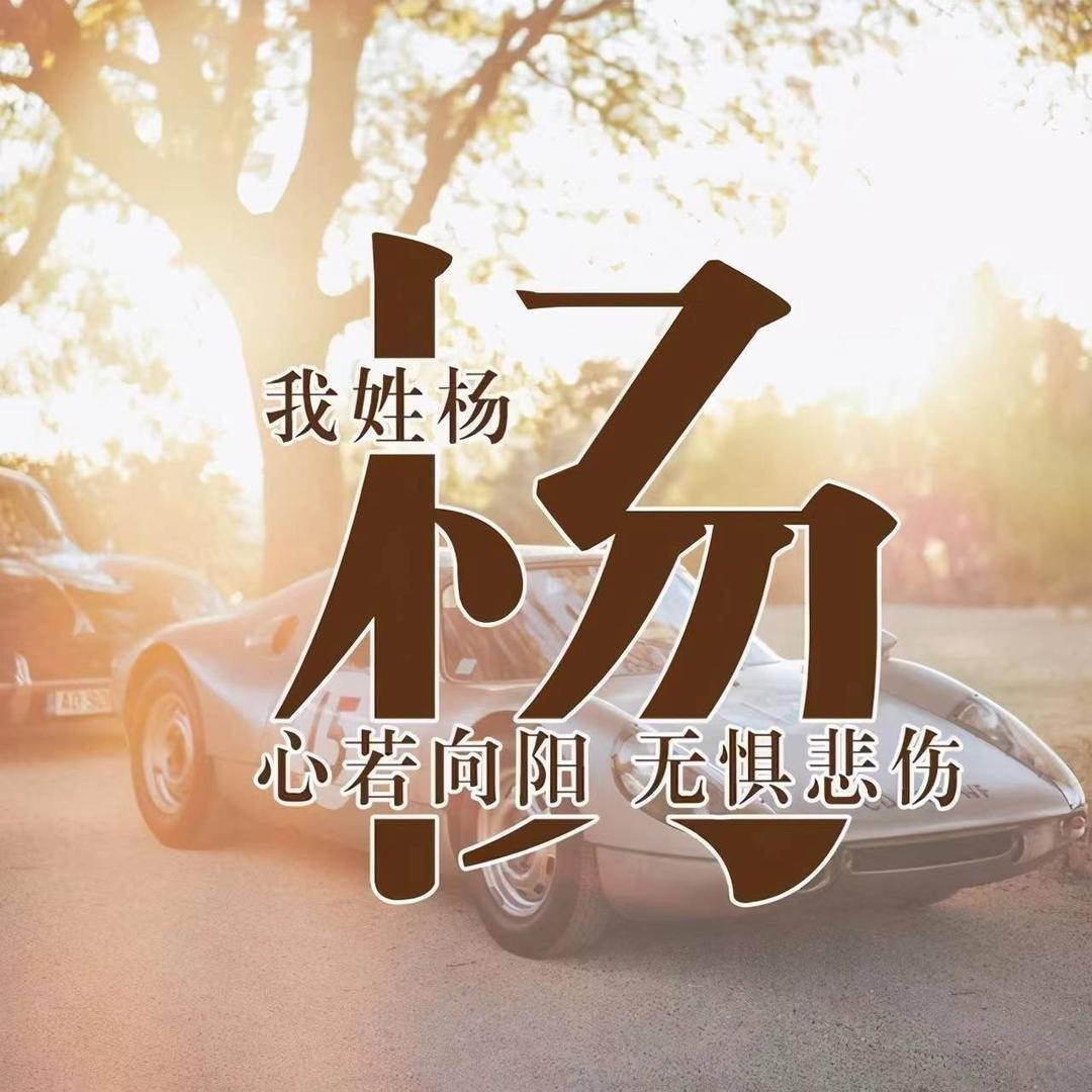 锋浩行严选二手车