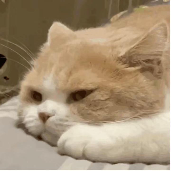 辉记（等运到版）