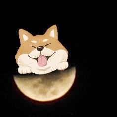 骑着毛驴去旅行@