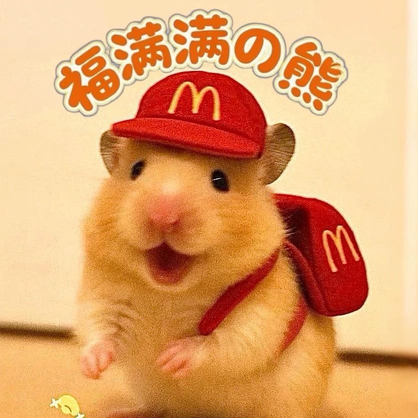 福满满の熊🐻🌈（出自配粮版）