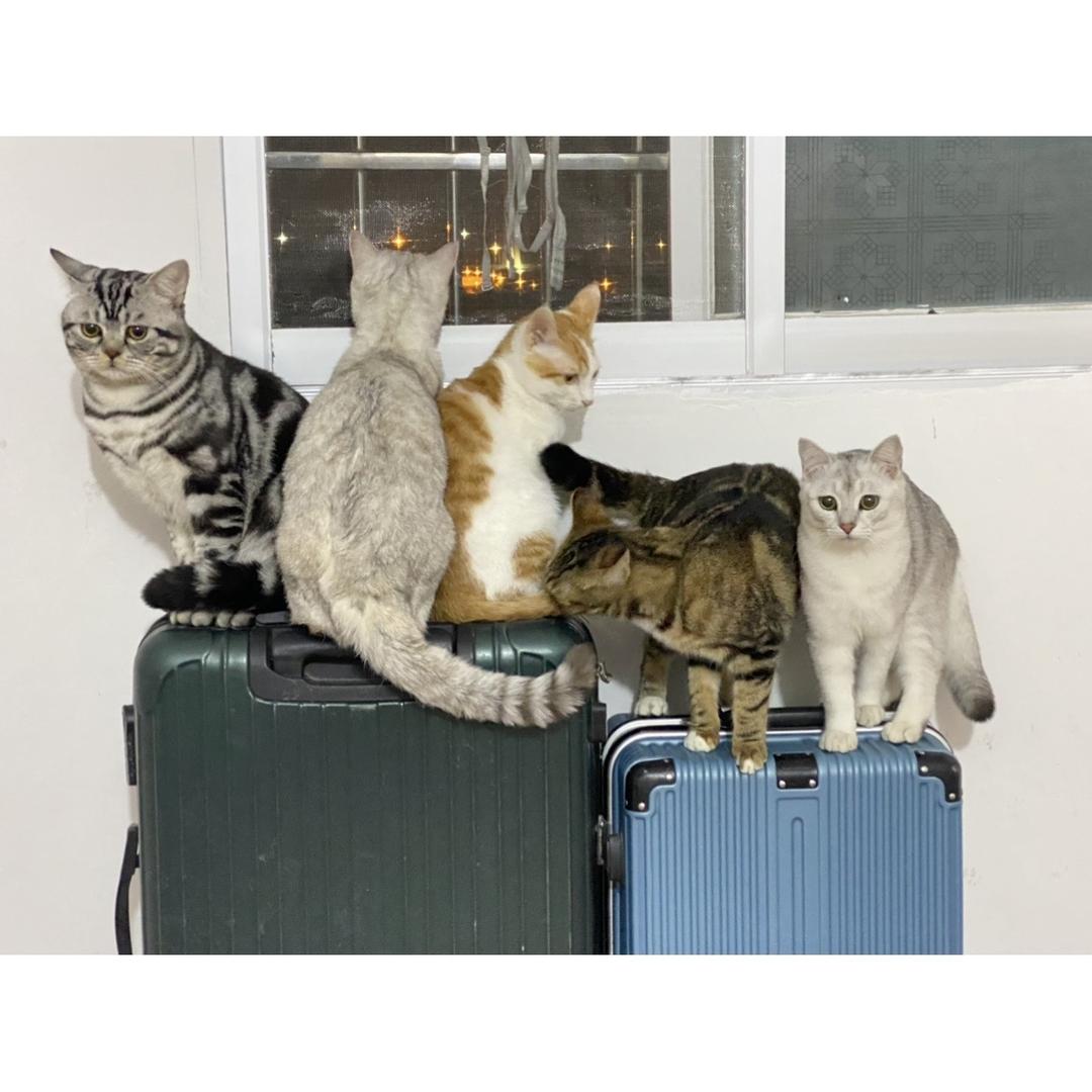 ☀️🌟✨🌻🌼🌈