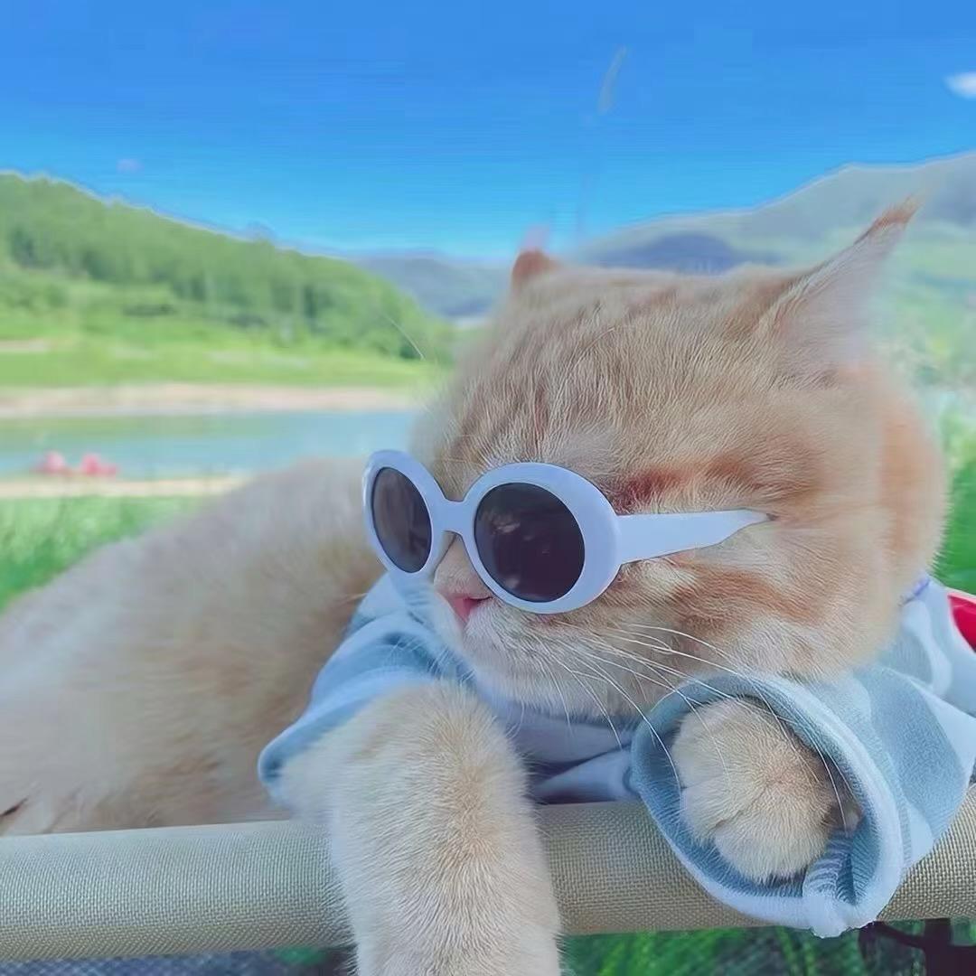 ❤️生活❤️自由