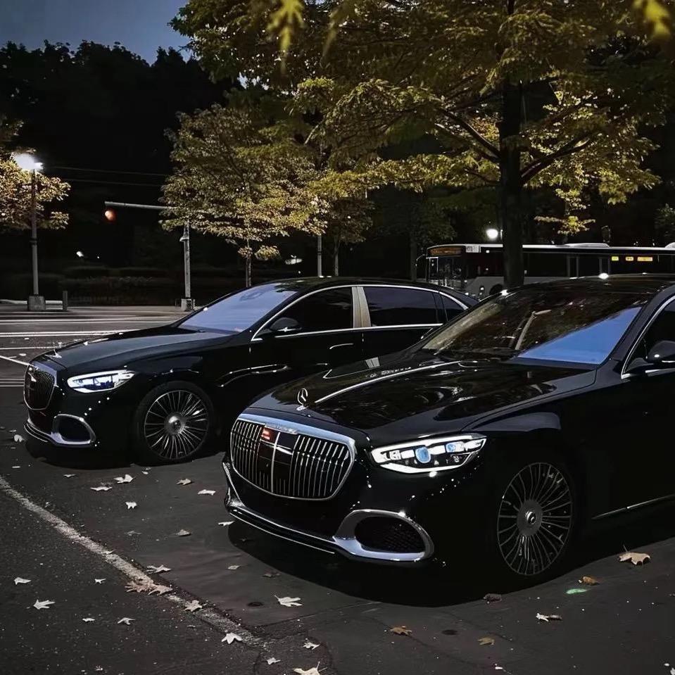 宜宾伯乐名车（收车号）