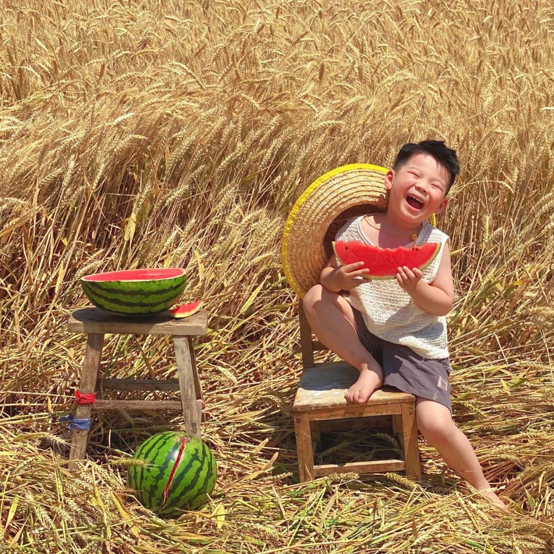 刘屯生活🌾