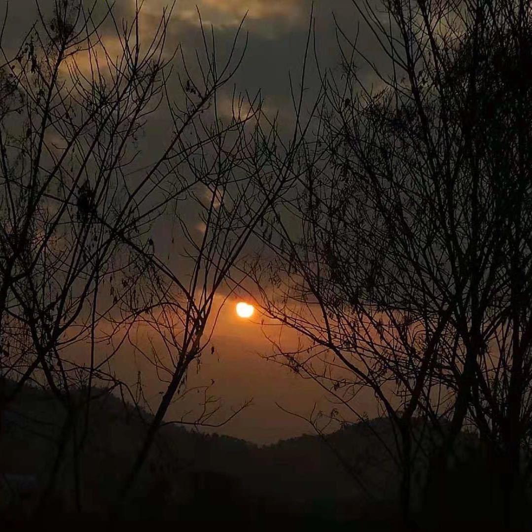 小吴  新能源动力🇨🇳