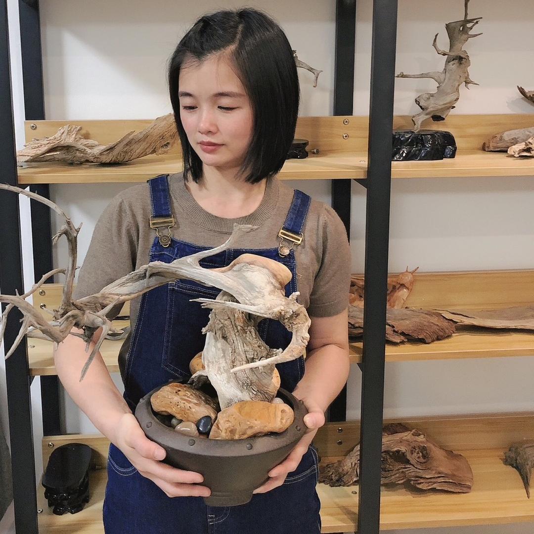 陈柏艺
