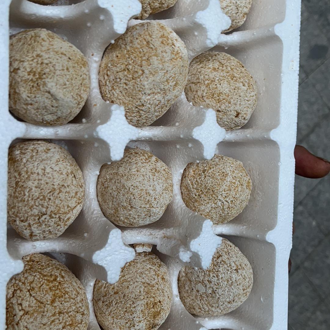 么么哒💋
