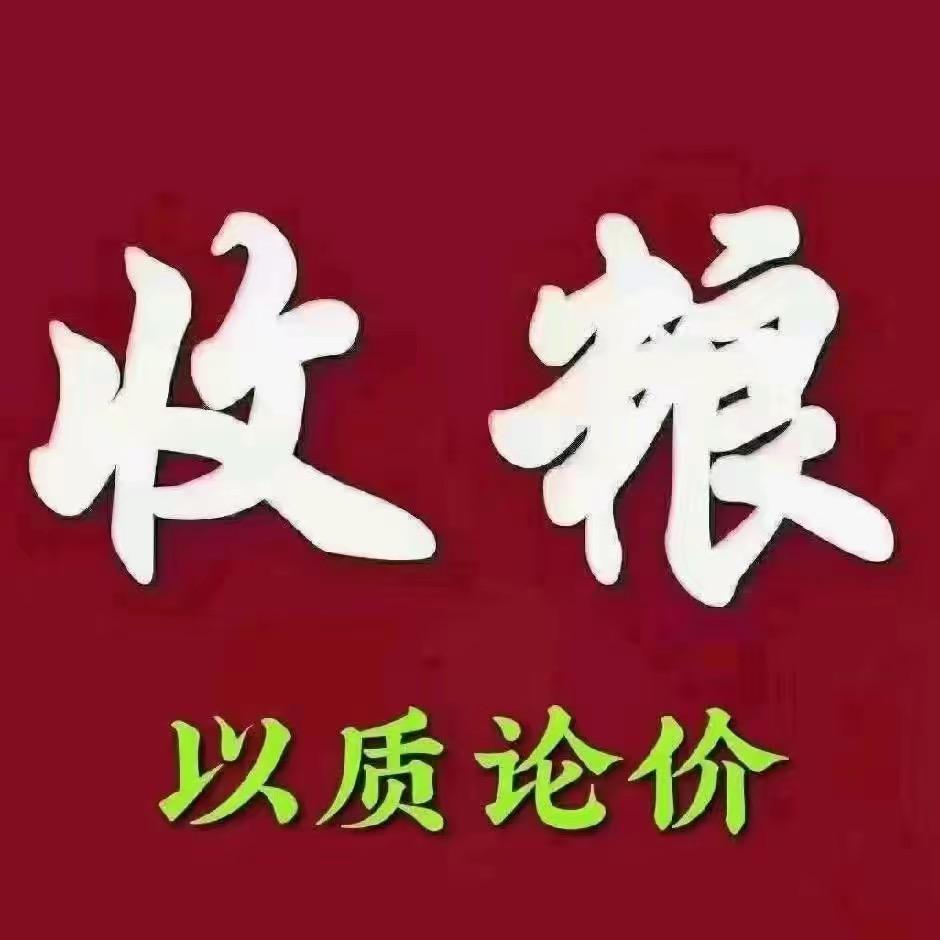 收粮人