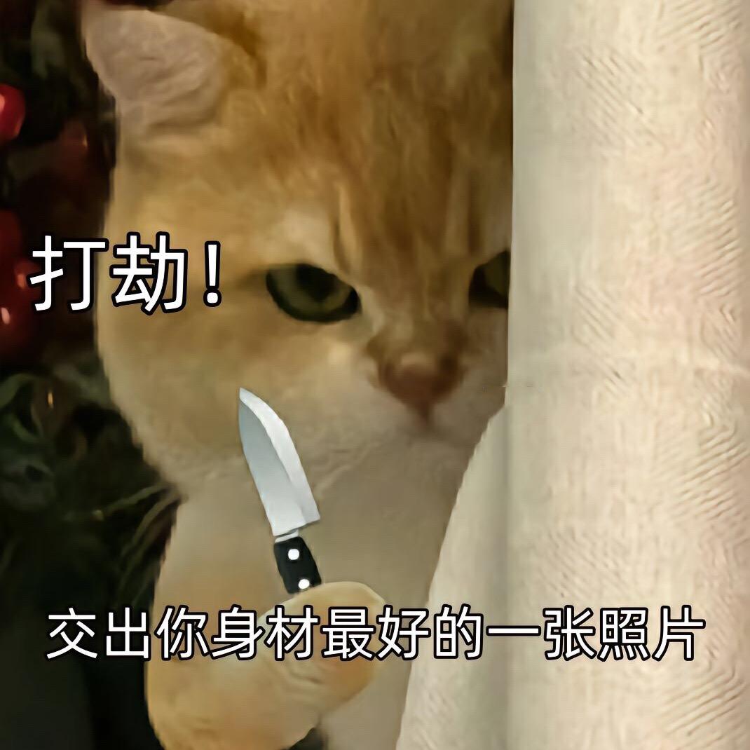 DNF骚鹏