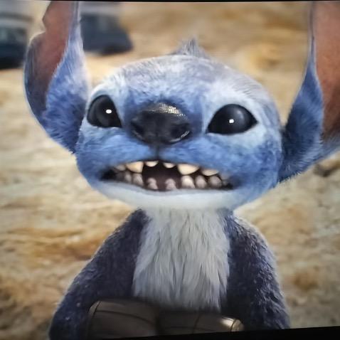 花果山在逃大马猴