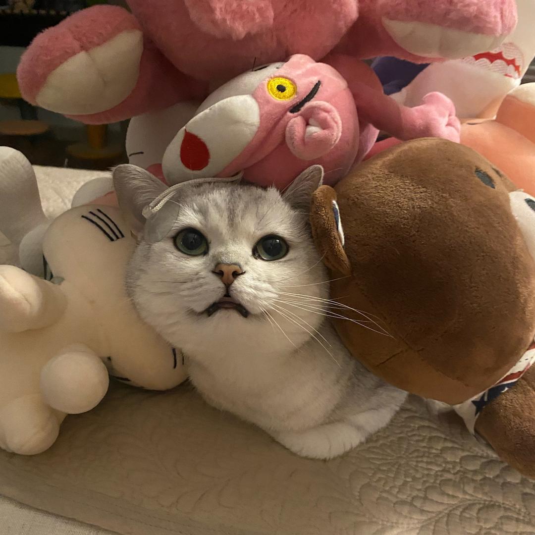 小海螺