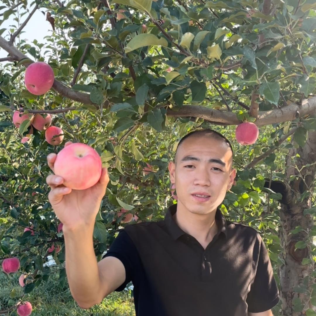 洛川苹果代办张坤-助农
