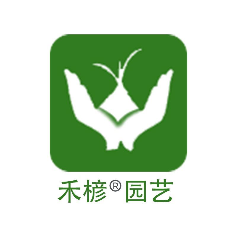 和楌优选