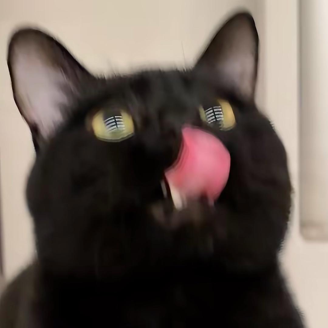 🌈冰美式🧊