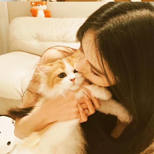 咪咪的喵喵耶