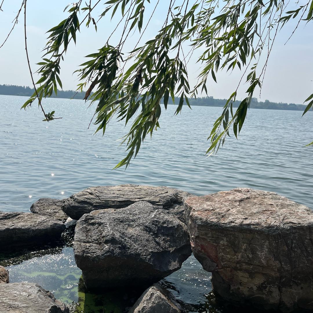 吃喝玩乐