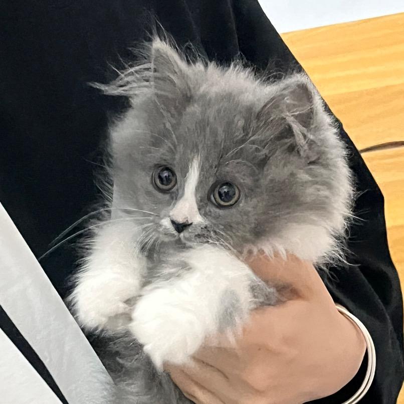 十一❤️