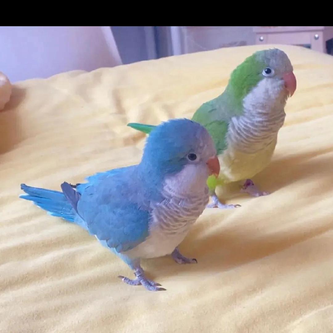 你过来啊