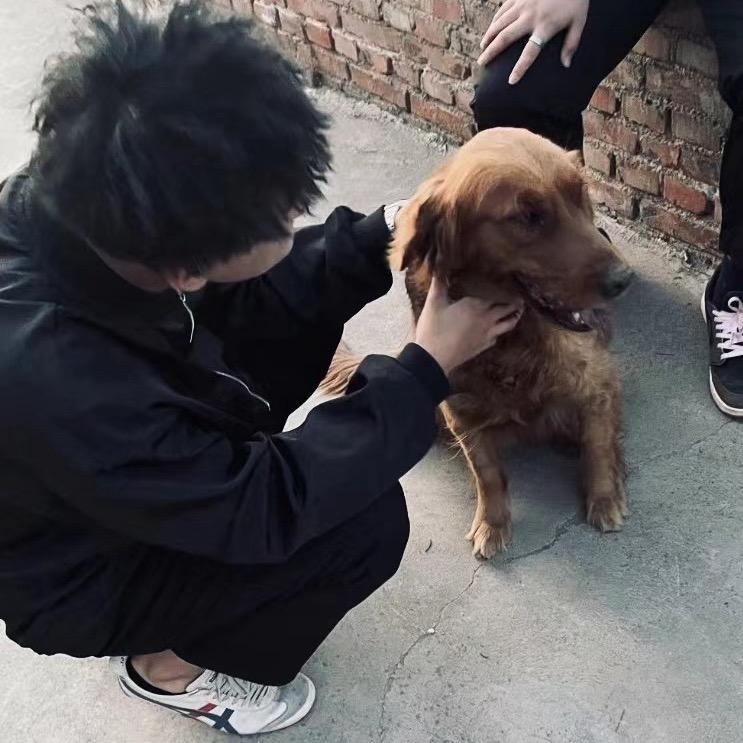 dnf搬砖小黑