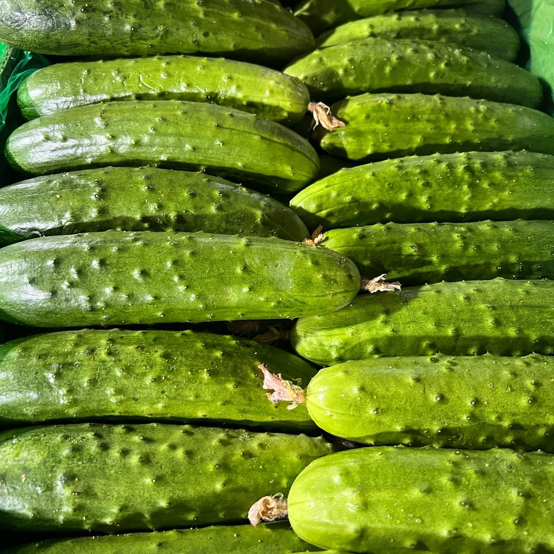 东北憨憨农产品