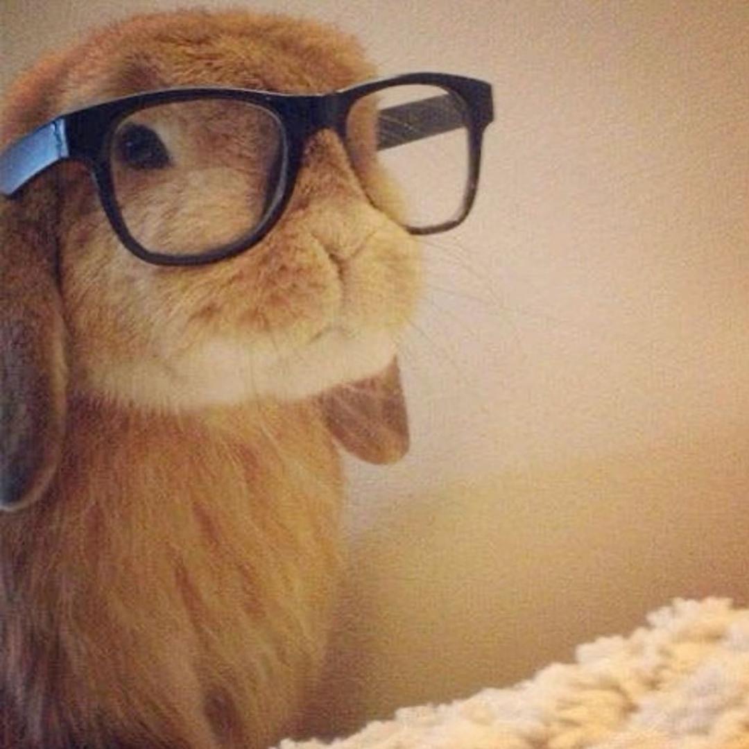 一二三四五六七八九