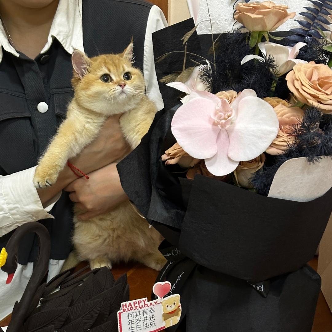 如意如意！