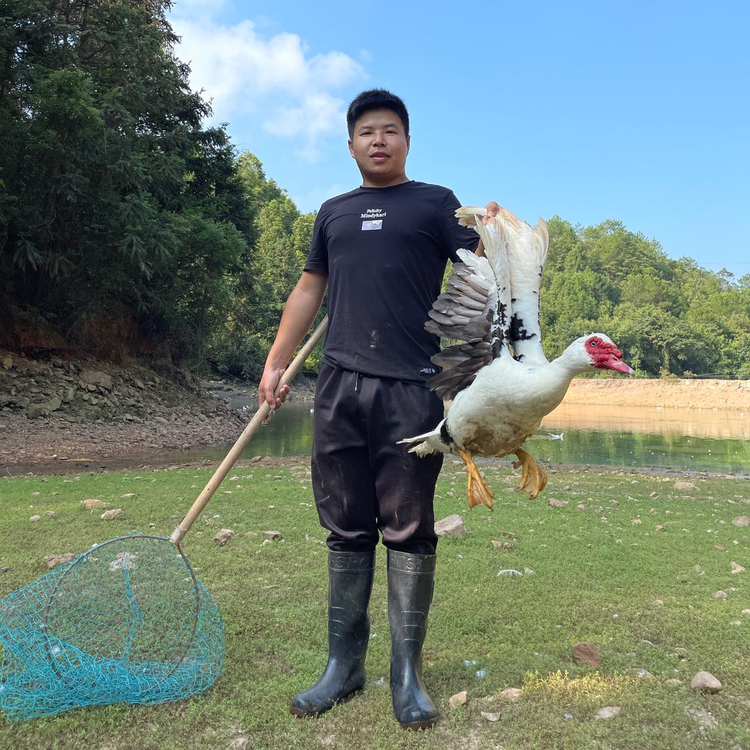 武平氧鸭侠
