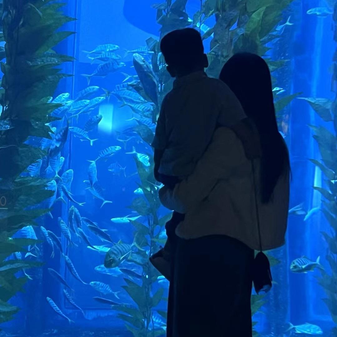没头脑才开心呀～