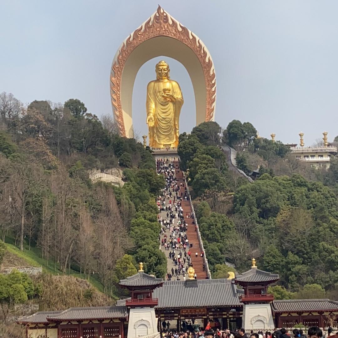 @高高在这里🌈