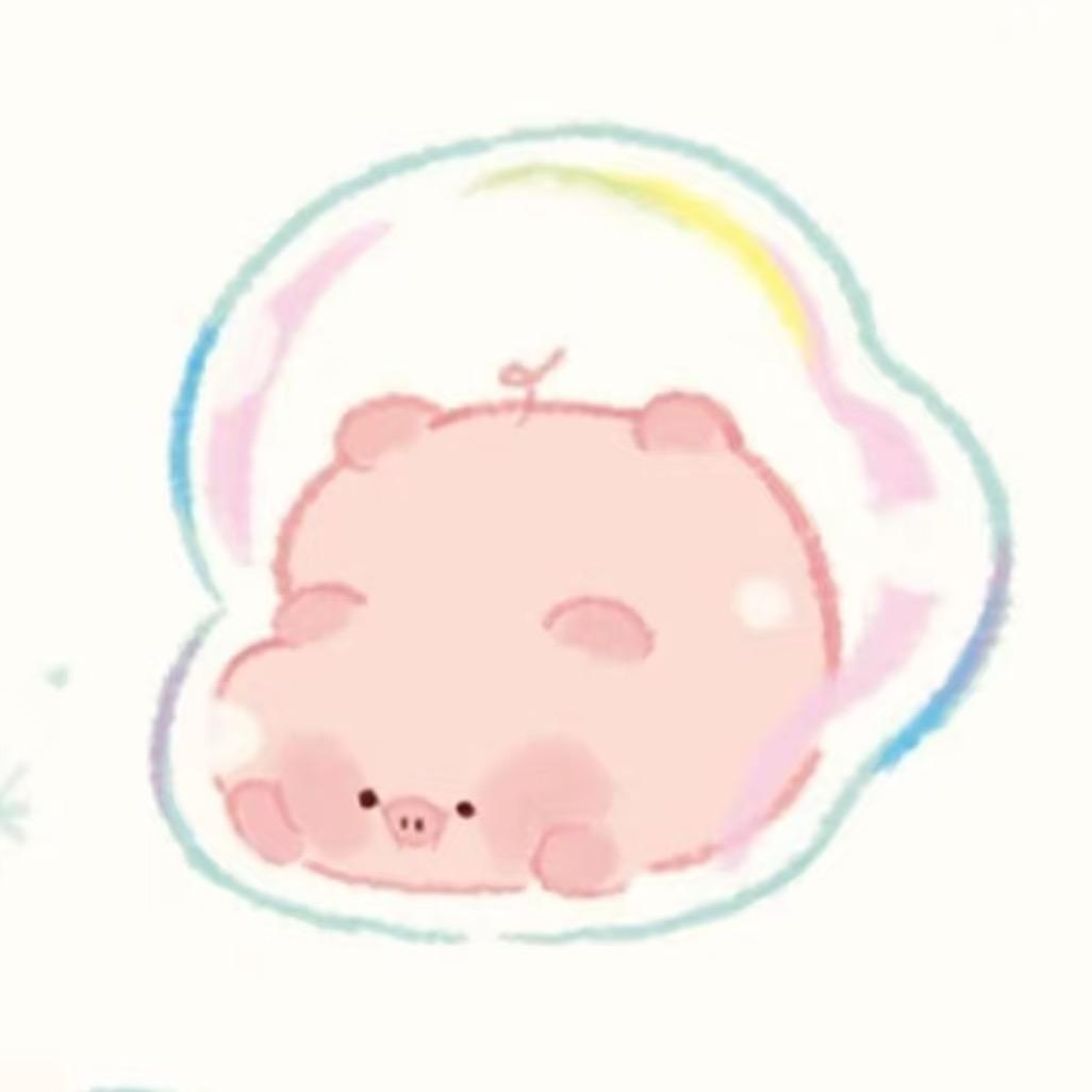 猪呆呆呆