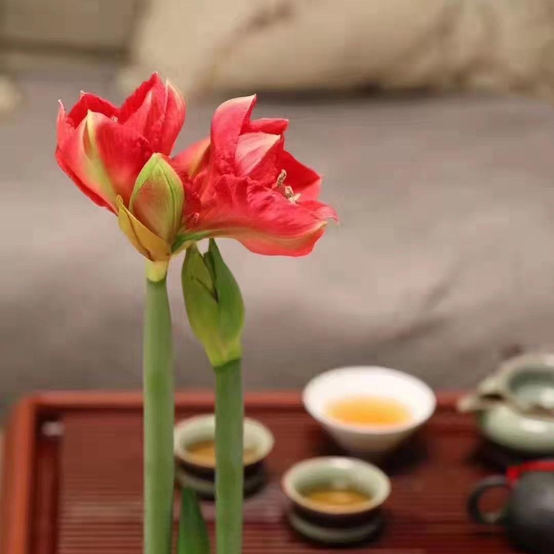 逆光呼吸