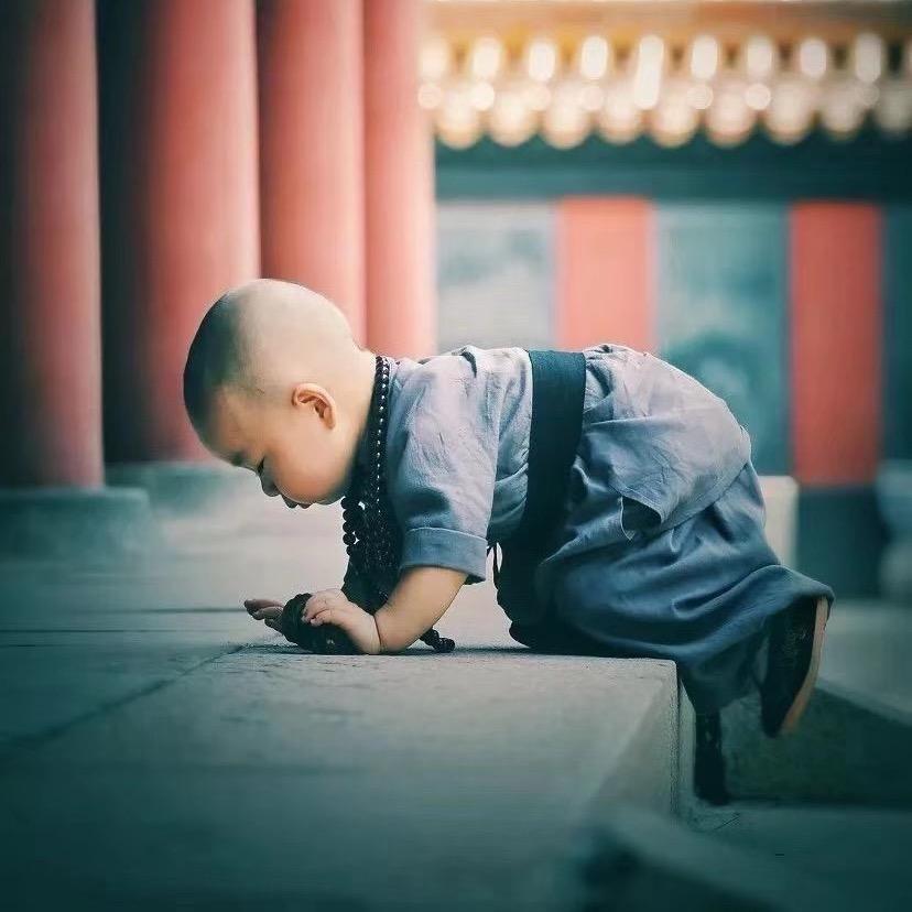 🌞🌞幽谷～百合💃💃