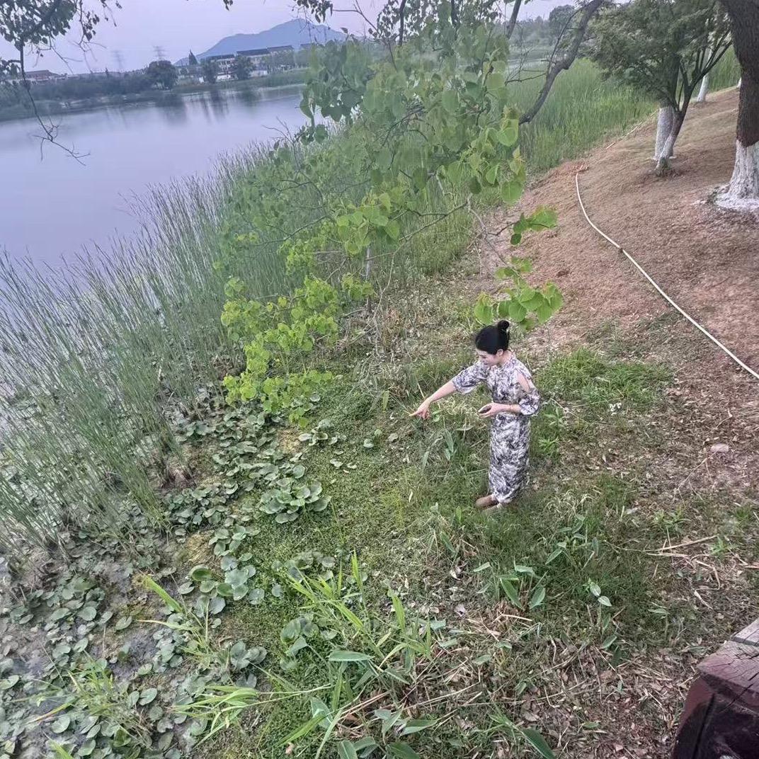 ❤️圆圆
