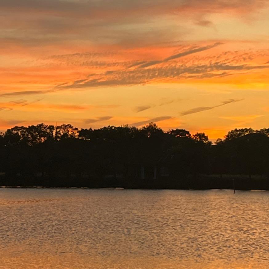 满山猴子我腚最红