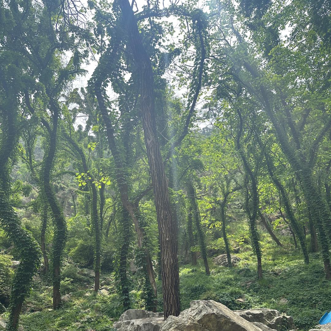 鸿升甄选