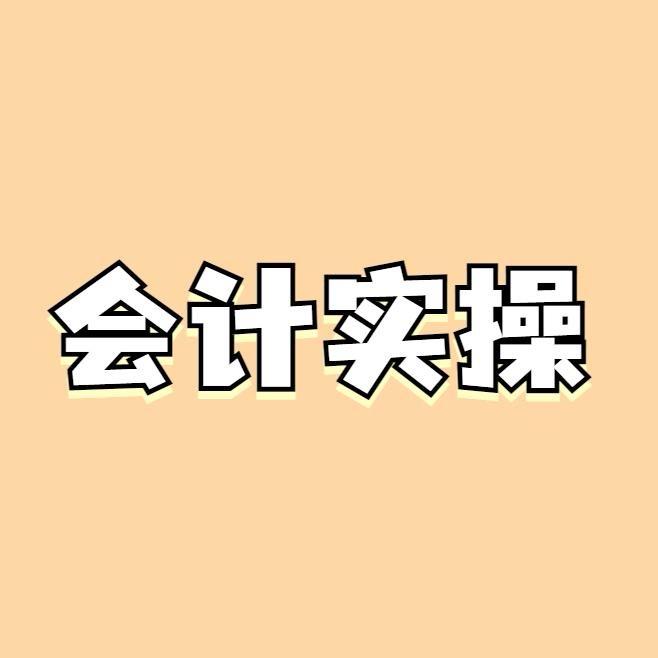 考呀呀缇娜老师（财税实操就业版）