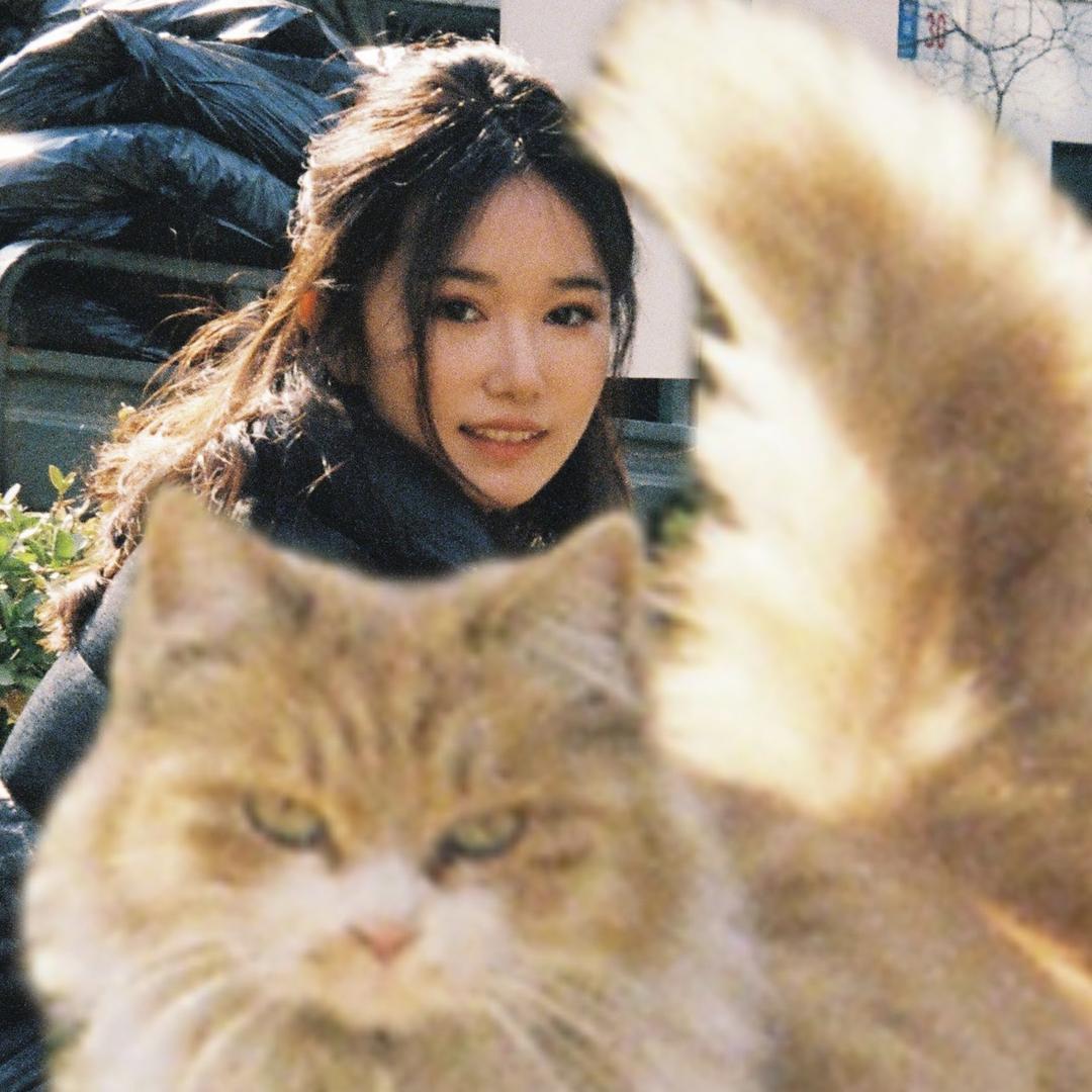 小曹狸花