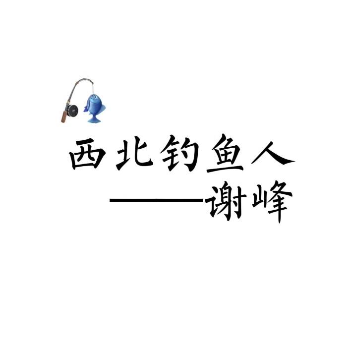 西北钓鱼人谢峰