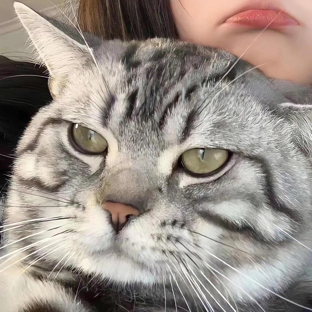 邱😐