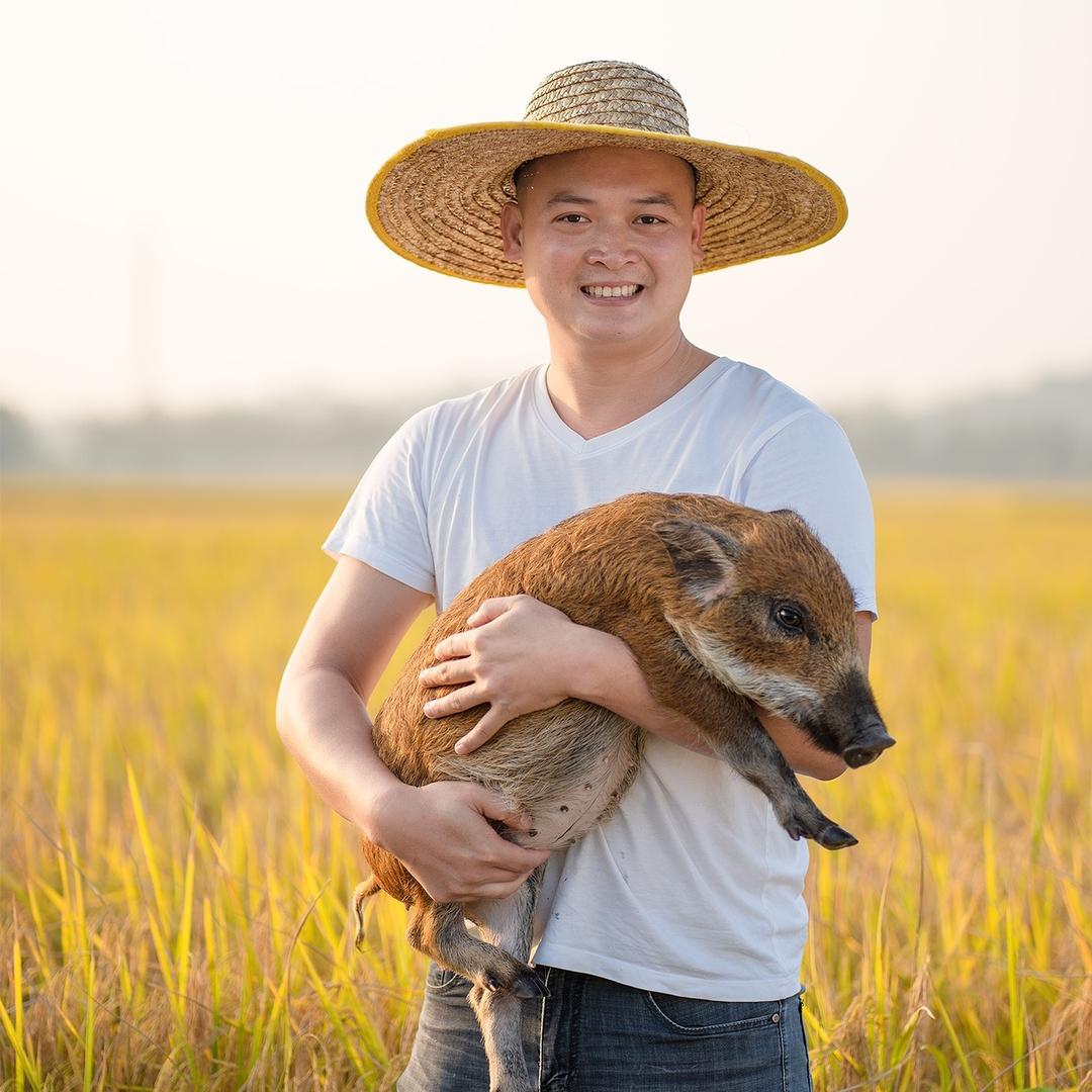 快乐农人猪哥